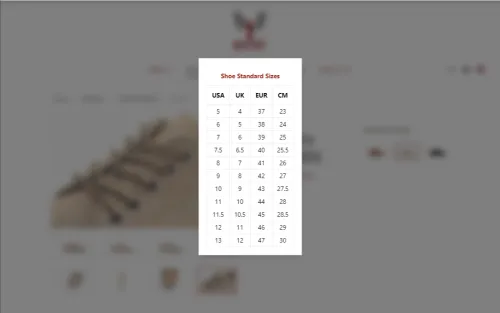 طراحی سایت برند ردفیت