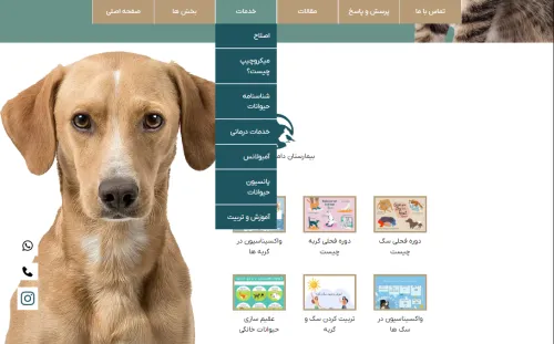 طراحی سایت و سئو دامپزشکی هامون پت