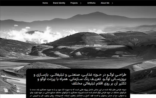 طراحی سایت طراح گرافیک حامد هادیی